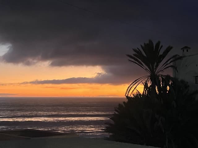 Photo 8 by Joanna K. (2/7/26)