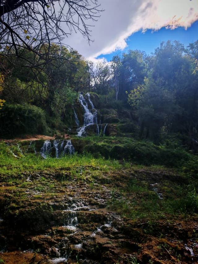 Zdjęcie 2 wykonane przez Maciej G. (10.10.25)
