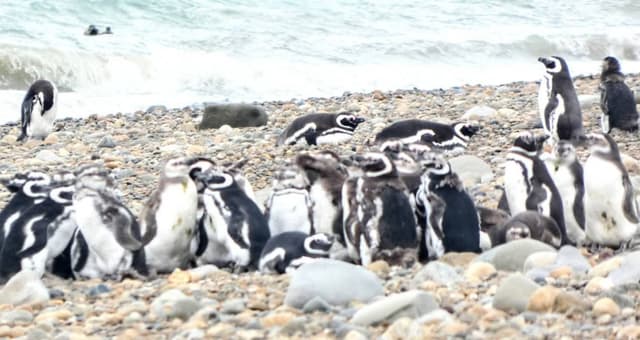 Zdjęcie 9 wykonane przez Witold K. (25.03.26)