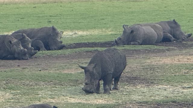 Photo 5 by Faisal A. (4/18/26)