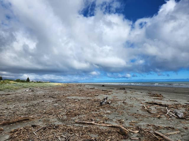 Photo 4 by Kozue K. about renting a Toyota Corolla in Wellington (4/19/24)