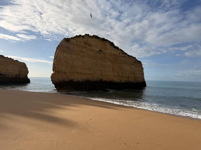 Photo 2 by Marco L. about renting a Cupra Formentor in Lisbon (4/18/25)