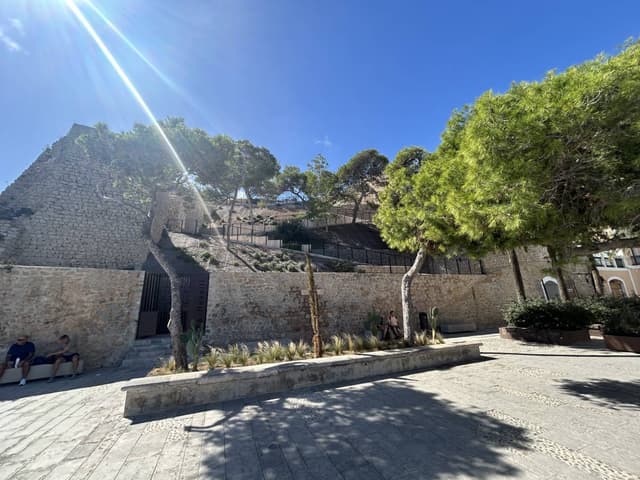 Foto 3 van Elbert N. (3-10-24)