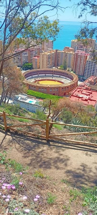 Photo 5 par Christophe B. (08/05/24)