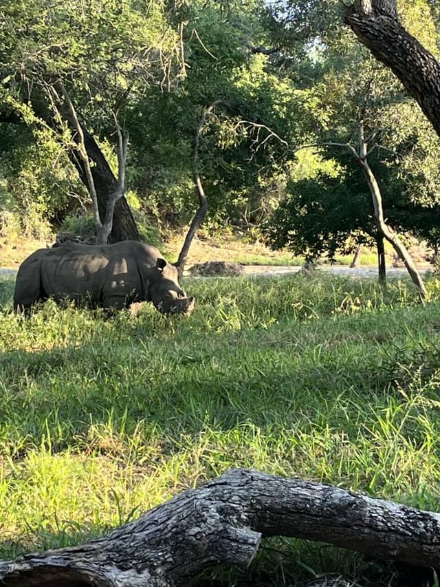 Photo 3 by OSWALD K. (3/10/26)