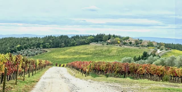 Photo 4 by Elisabeth B. (10/29/25)