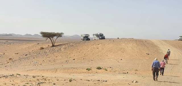 Foto 5 de Jesica A. (19/2/24)