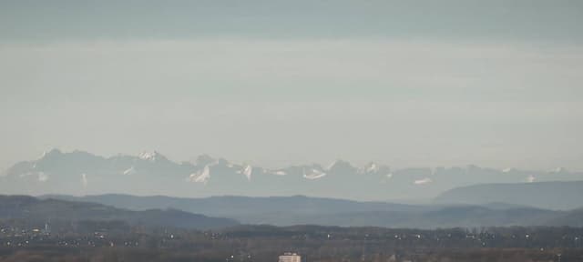 Zdjęcie 1 wykonane przez Michal B. (31.01.25)