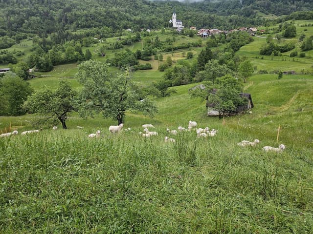 Foto 7, ko uzņēmis Arturs S. (22.05.26.) īri