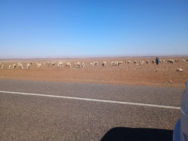 Photo 2 by John W. about hiring a Dacia Sandero in Marrakech (12.02.25)