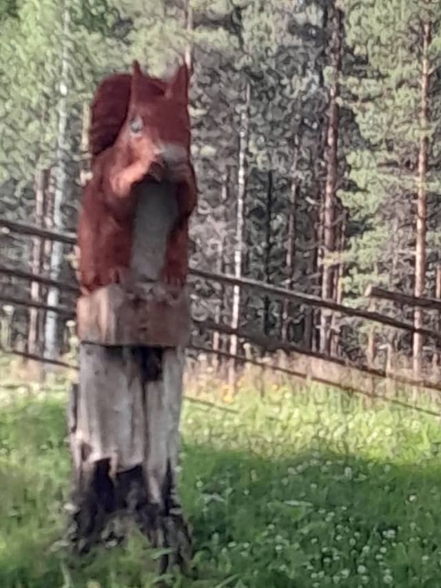 Henkilön teppo V. kuva 2 (16.7.24)