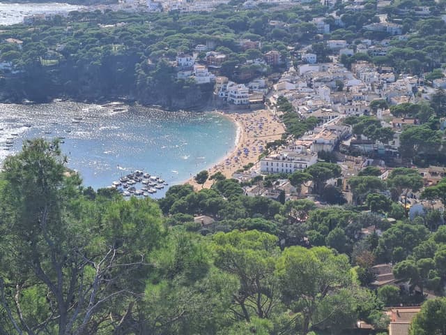 Foto 2 von Guenter W. (22.9.25)