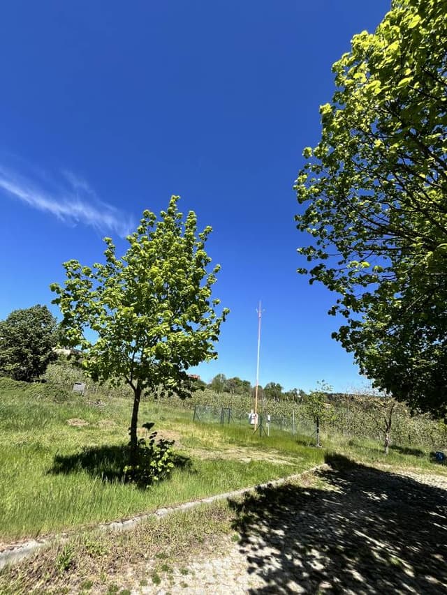 Photo 1 by Pedro B. about renting a Ford Focus in Porto (6/24/24)