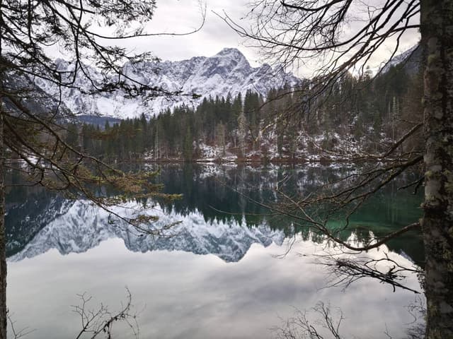 Foto 6 di Tullio Mario Gabriele S. (12/12/25)