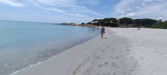 Photo 3 by Giorgio L. about renting a Fiat Panda at Alghero Fertilia Airport (5/27/25)