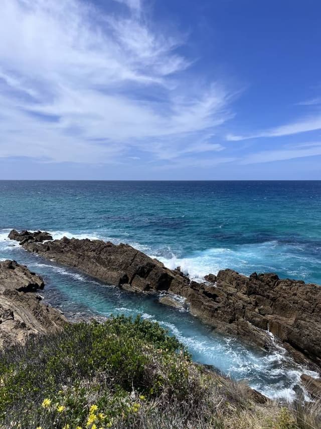 Photo 1 by Hans Karsten W. (2/5/26)