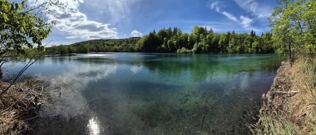 SANG YOUNG C.의 사진 4 (24. 5. 15.)