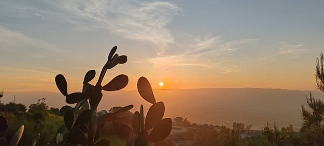 Foto 3 von Roland M. (23.4.26)