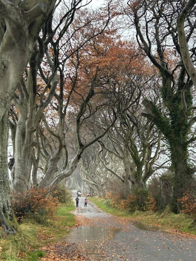 Foto 5 de IGNACIO R. (21/11/25)