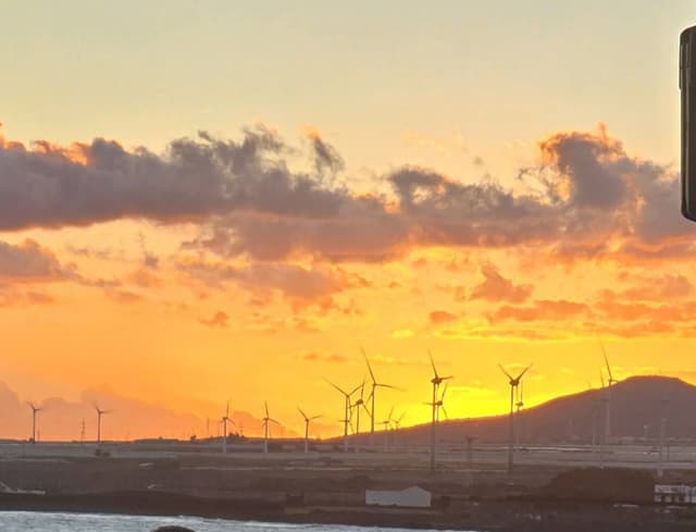 Photo 2 by Pauline Mary K. (12/3/25)