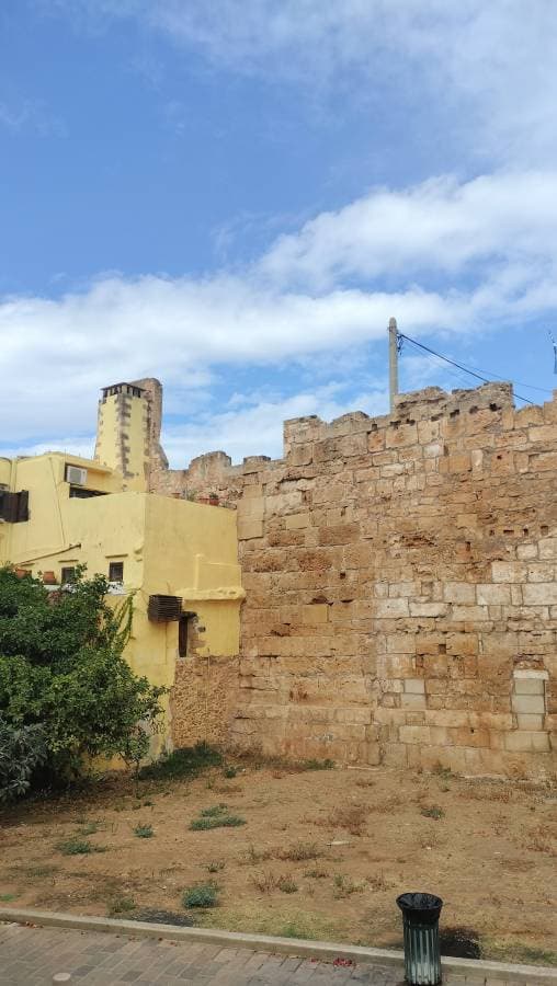 Fotografia 4 realizată de Silvia G. (09.10.25)