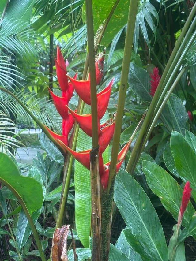 Photo 4 by Michele C. (3/20/26)