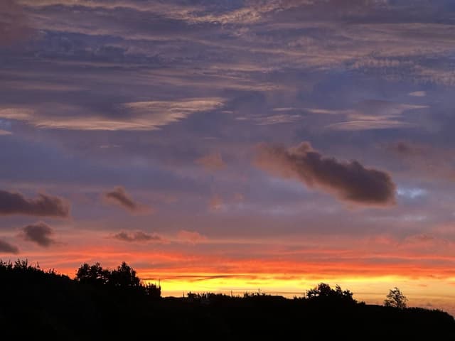 Photo 1 by Francis P. (9/16/24)