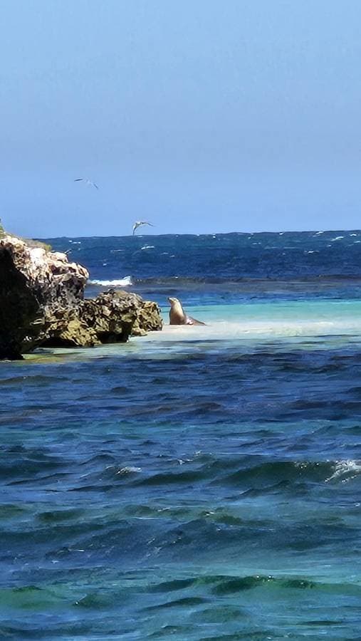 Photo 3 by Maria B. about renting a MG ZS in Perth (1/7/25)