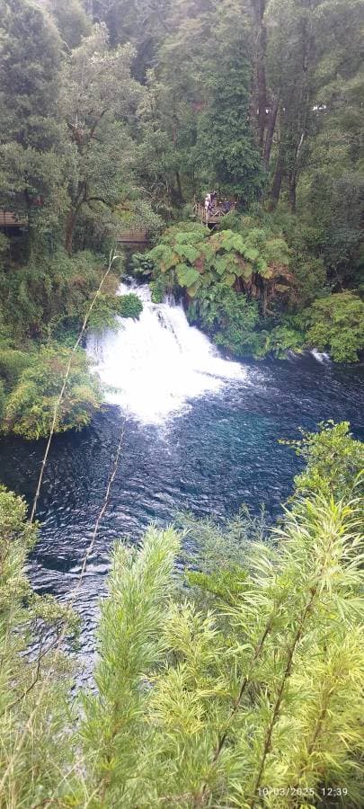 Foto 3 de Angela Beatriz R. (17/3/25)