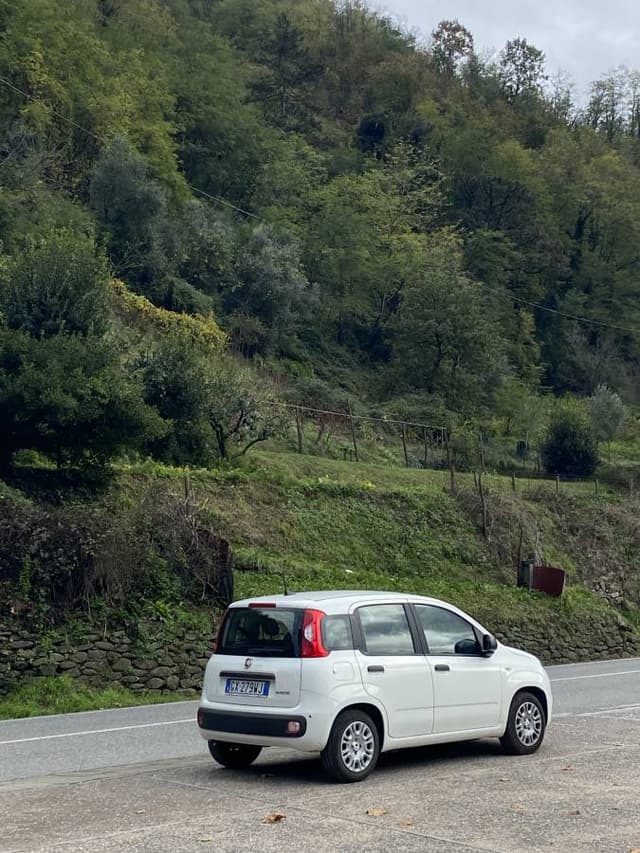 Photo 2 by Istvan S. (10/29/25)