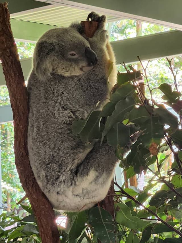 Photo 2 by Paula C. (11/24/25)