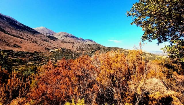 Photo 6 by LIYEN A. about renting a Suzuki Swift in Heraklion (10/30/24)