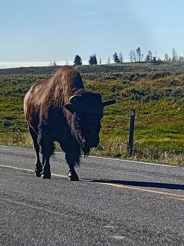 Foto 2 di Tiziano C. sul noleggio di una Nissan Rogue nel Minnesota (24/08/23)