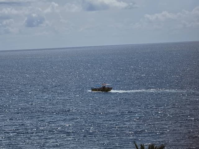 Photo 3 by Martin R. (3/28/26)