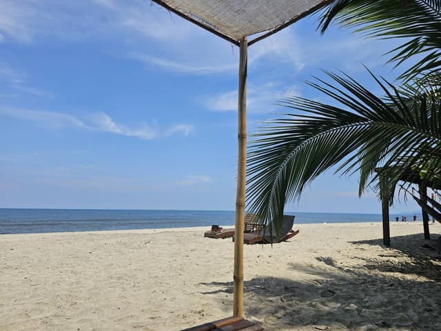 Photo 2 by Carlos R. (10/25/23)