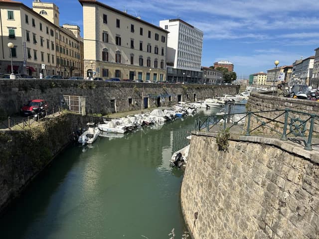 Снимка 6 от Kiril I. (2.06.25 г.)