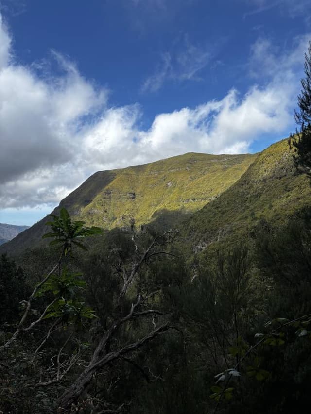 Photo 4 by Adam C. about renting a Fiat New 500 in Madeira (2/17/25)