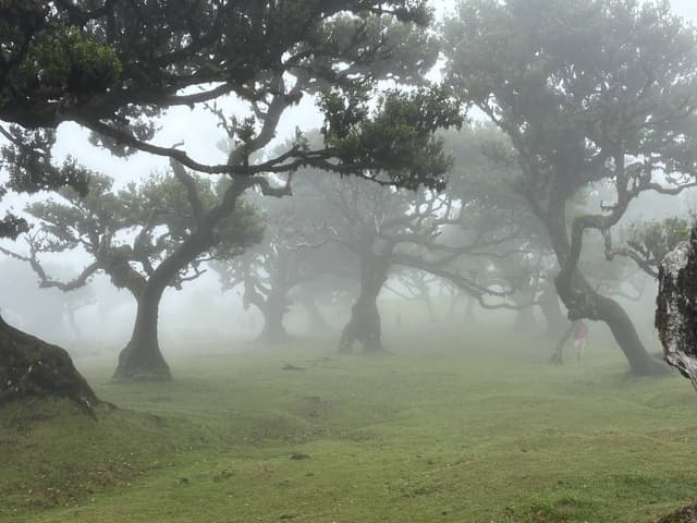 Photo 3 by Catherine H. about renting a Citroën C3 in Funchal (9/16/25)
