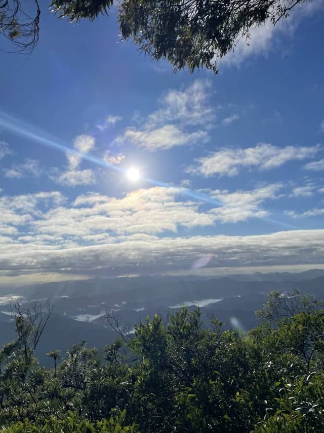 Photo 2 by Ray F. about renting a Kia Stonic in Sydney (Downtown) (2/6/25)