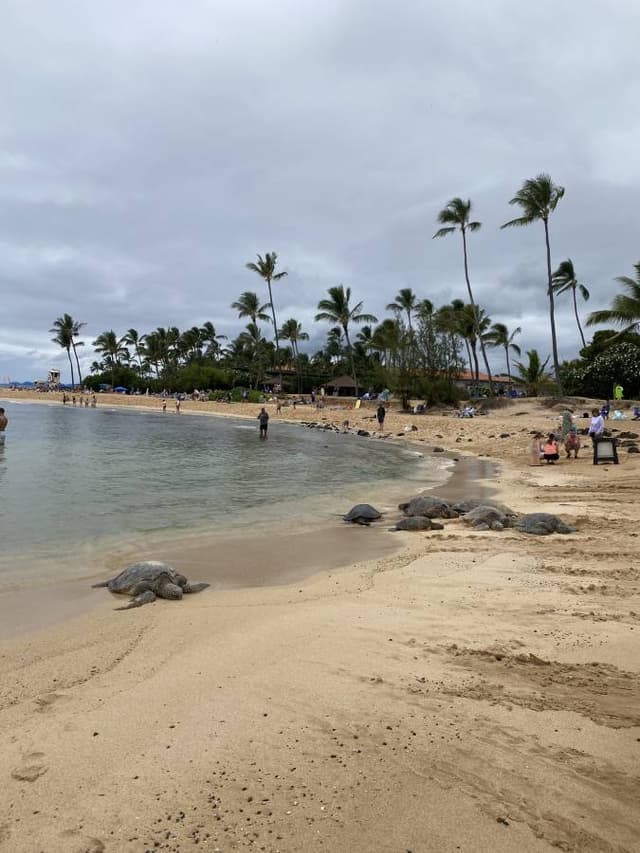 Photo 3 by Laura D. (6/2/25)