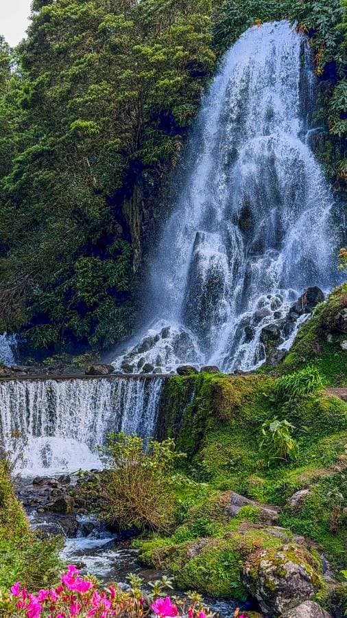 Photo 5 by Krzysztof P. about renting a Seat Arona in Ponta Delgada (3/22/25)