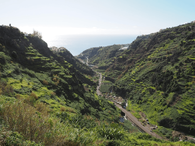 Zdjęcie 1 wykonane przez Elzbieta P. (15.02.24)