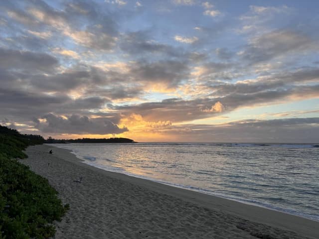 Photo 5 by Christopher K. about renting a Suzuki Swift at Mauritius Airport (8/17/24)
