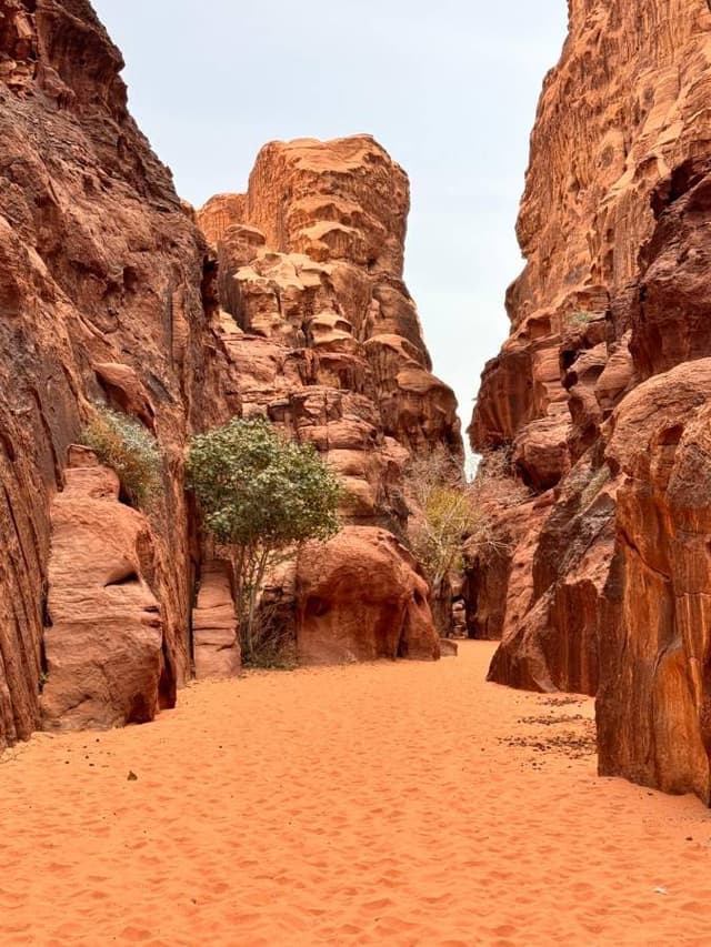 Photo 8 by Marcjanna Krystyna M. (2/4/26)