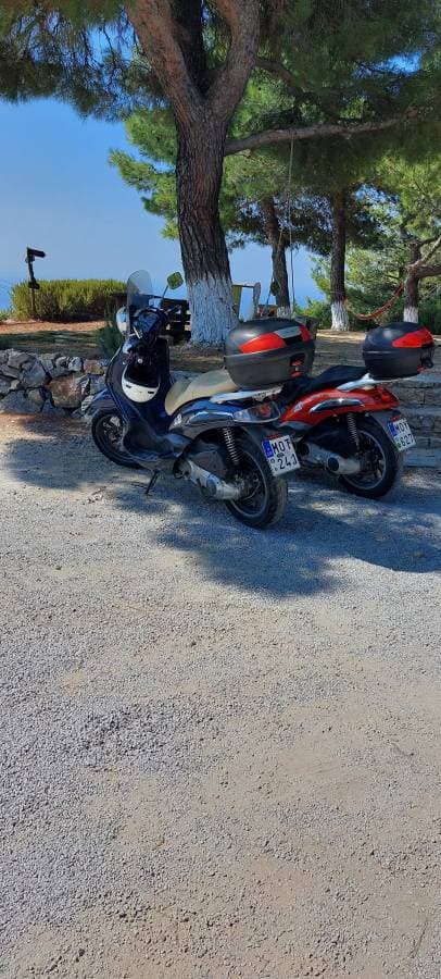 Photo 2 by Edith P. (9/2/23)