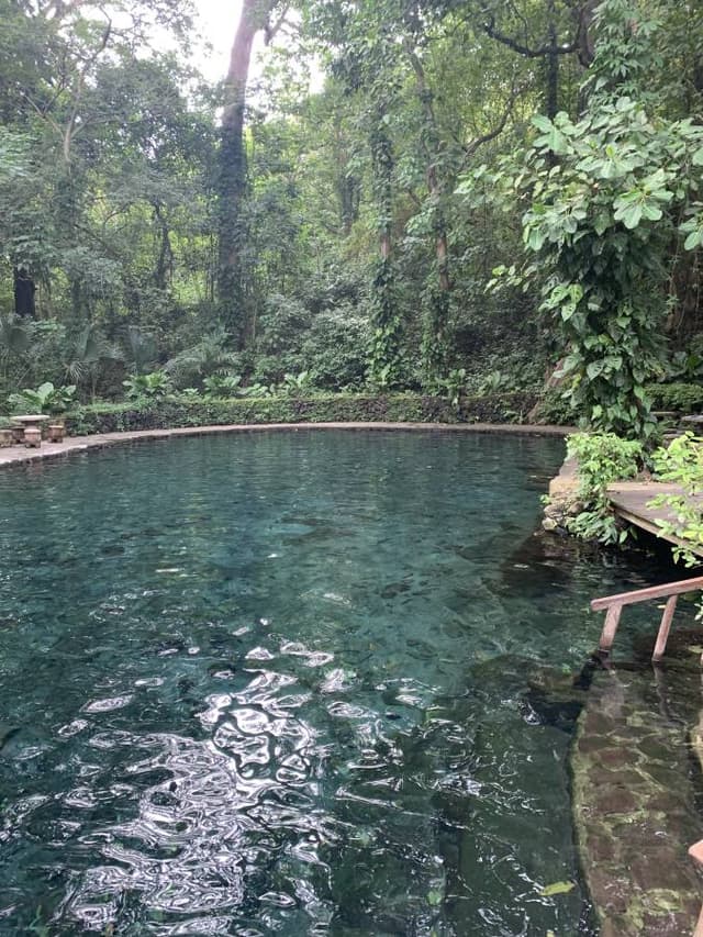 Photo 7 by Michal G. (11/15/25)