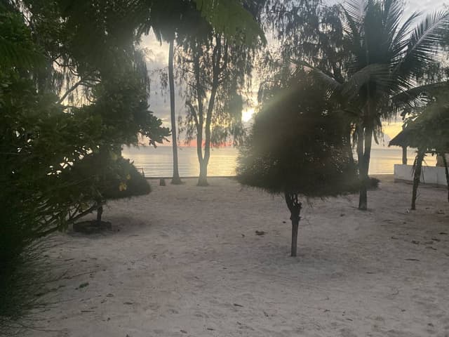 Photo 6 par Samira A. sur la location d'un Skoda Kodiaq à Zanzibar (09/03/24)