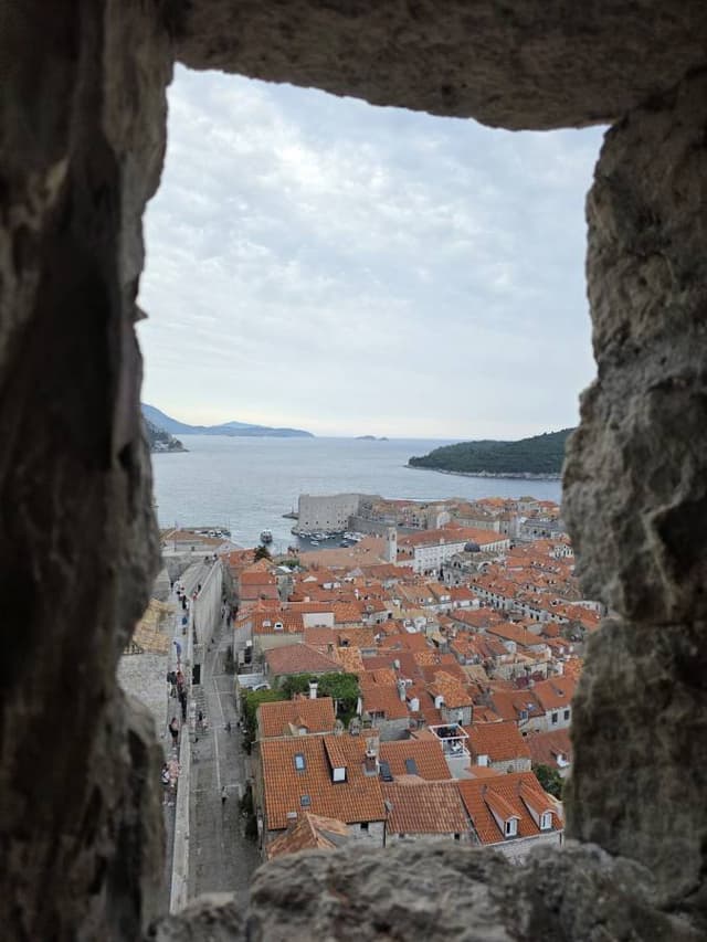 Sejung L.의 사진 2 (25. 9. 8.)