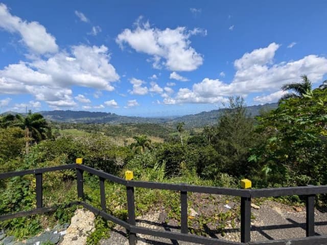 Photo by John H. (2/24/26)