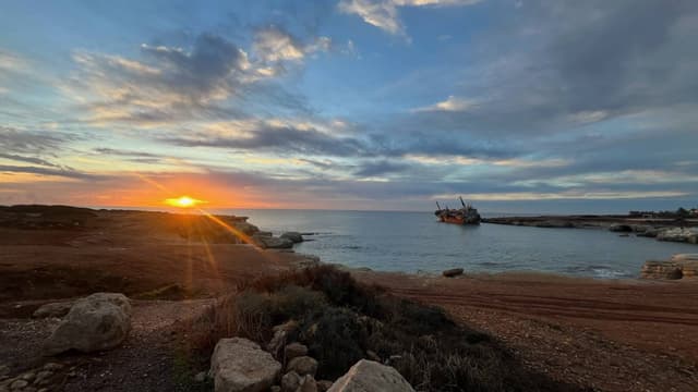 Photo 8 by Monika R. (12/17/23)